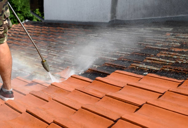  Wolfforth, TX Pressure Washing Pros