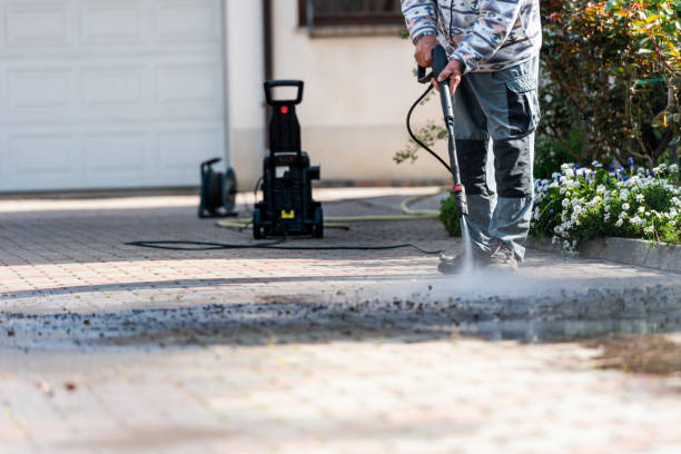 Best Pressure Washing Driveway  in Wolfforth, TX