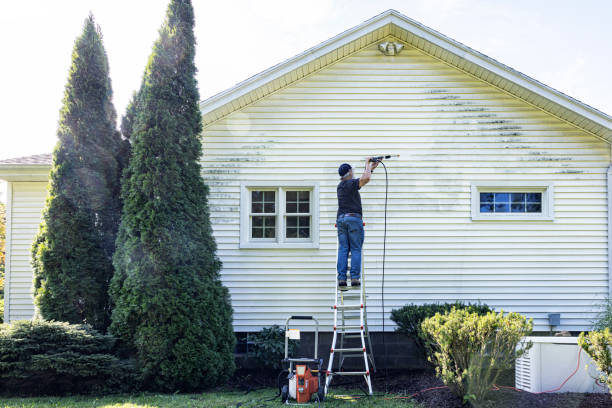 Best Best Pressure Washing Companies  in Wolfforth, TX